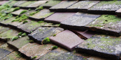 Ilmer roof repair costs